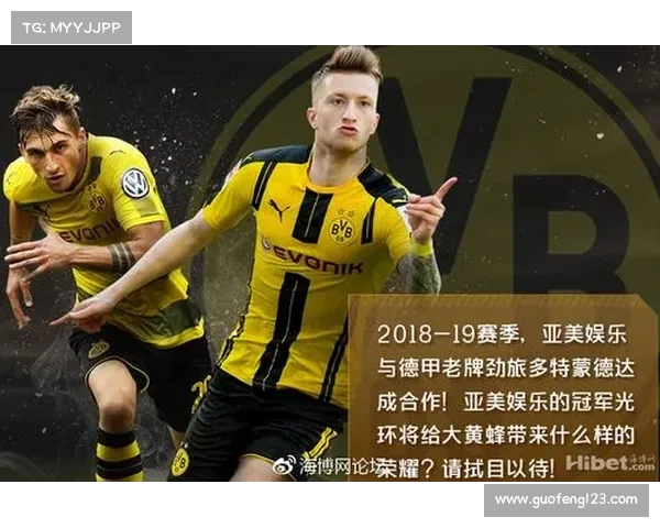 德甲俱乐部赞助合作现状分析及其对俱乐部经济发展的影响
