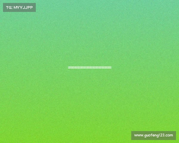 英超官方手册：全面解析英格兰足球顶级联赛的历史、规则与发展